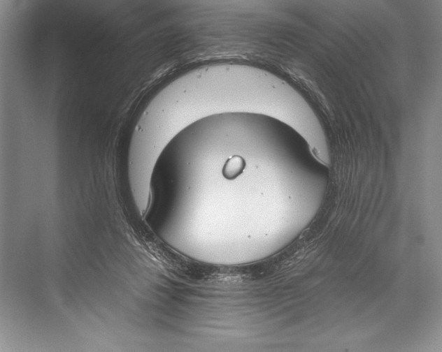 X0000072500260200608111636