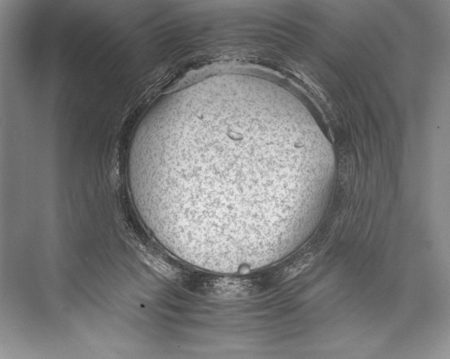 X0000072500261200608111636