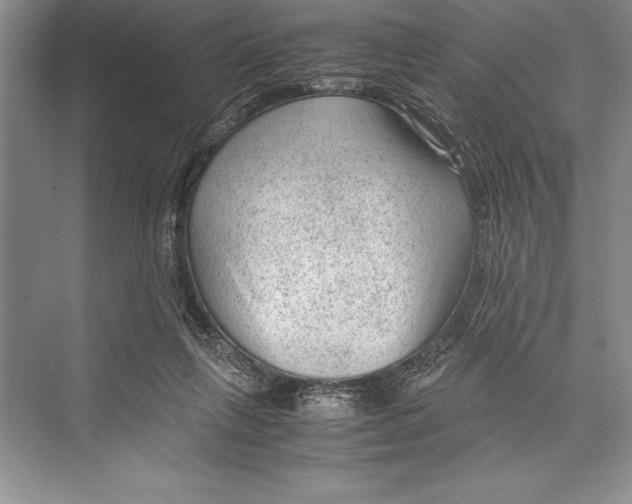 X0000072500263200608111636