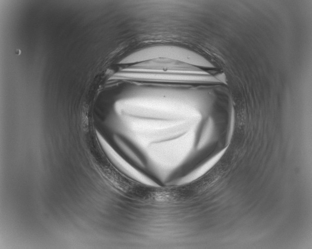 X0000072500264200608111636