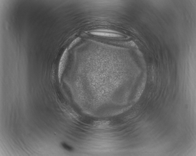 X0000072500266200608111636