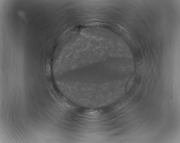 X0000072500267200608111636