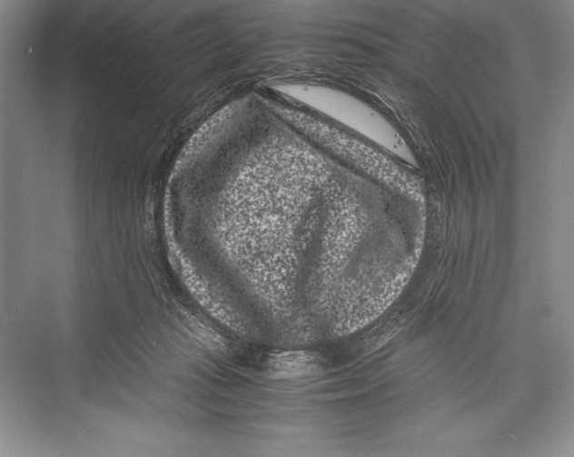 X0000072500269200608111636