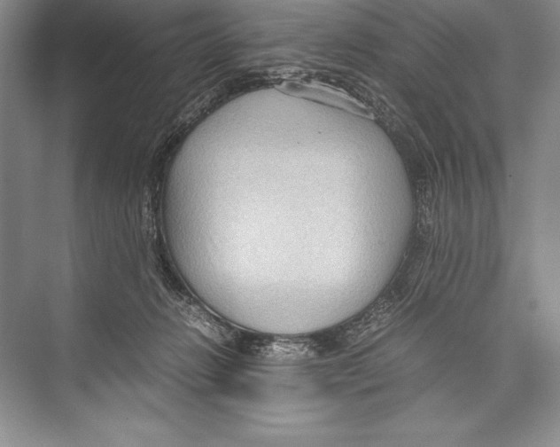 X0000072500270200608111636