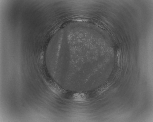 X0000072500271200608111636