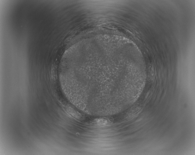 X0000072500272200608111636