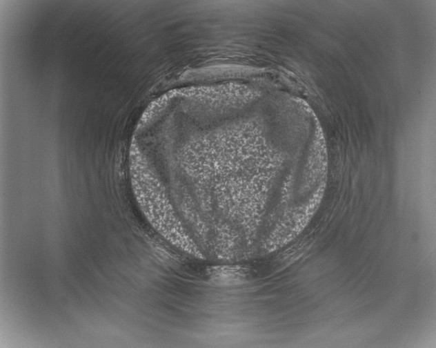 X0000072500273200608111636