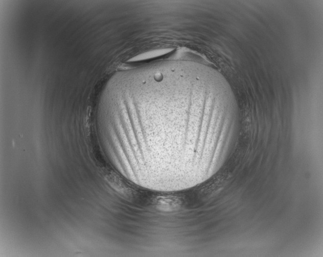 X0000072500275200608111636