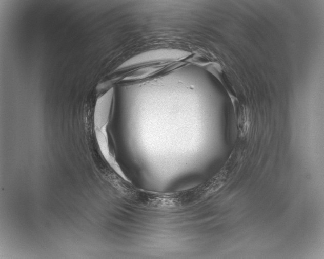 X0000072500276200608111636