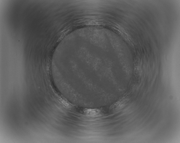 X0000072500277200608111636