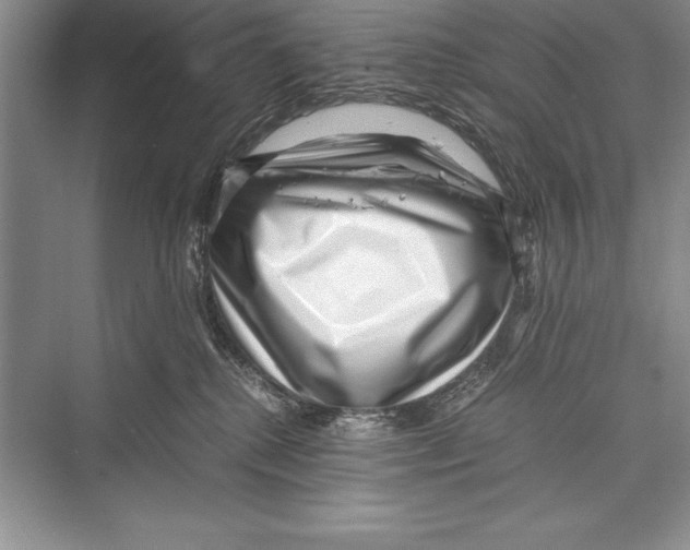 X0000072500280200608111636