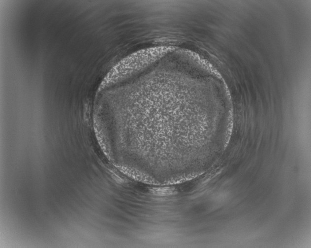 X0000072500281200608111636