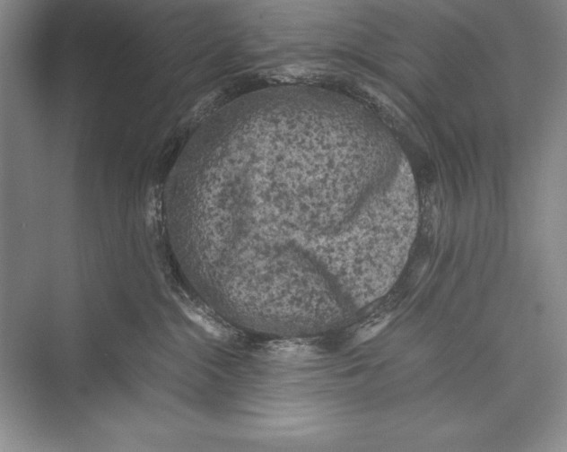 X0000072500284200608111636