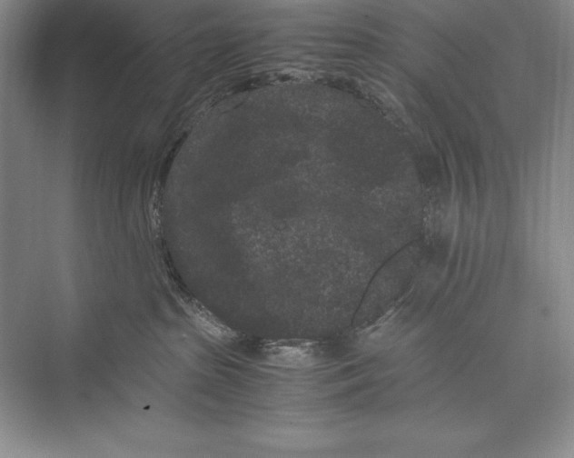 X0000072500285200608111636