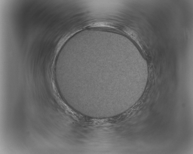 X0000072500289200608111635