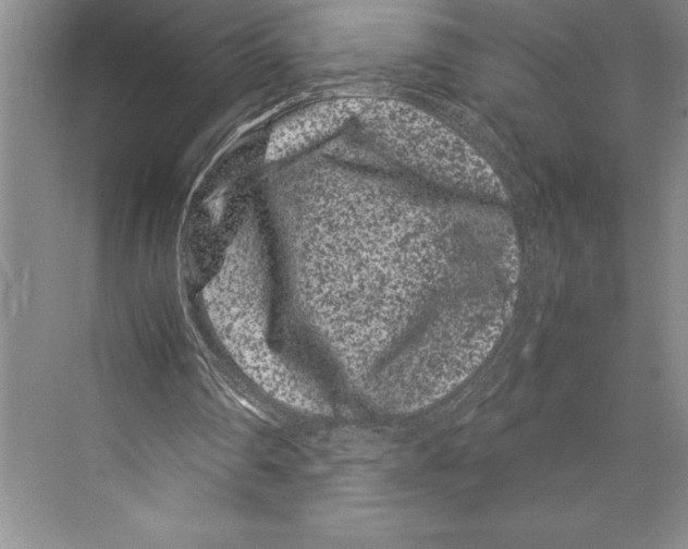 X0000072500290200608111635