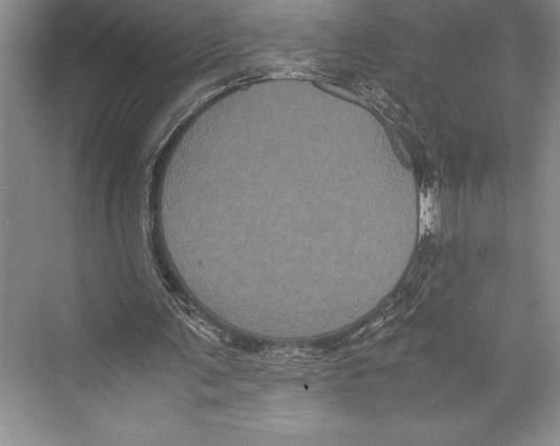 X0000072500291200608111635