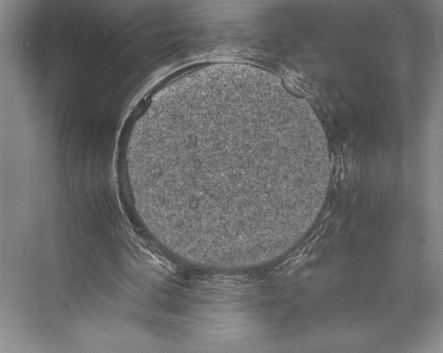 X0000072500292200608111635