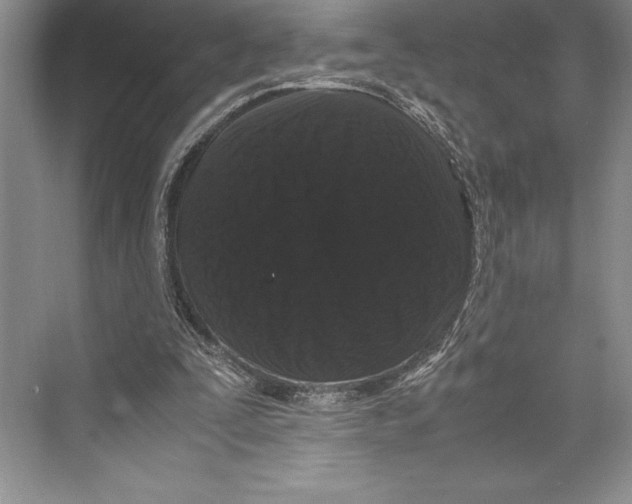 X0000072500295200608111635