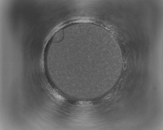 X0000072500296200608111635