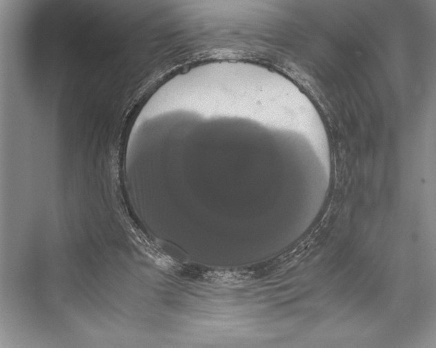 X0000072500297200608111635