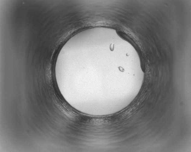 X0000072500298200608111635