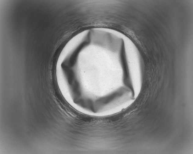 X0000072500299200608111635