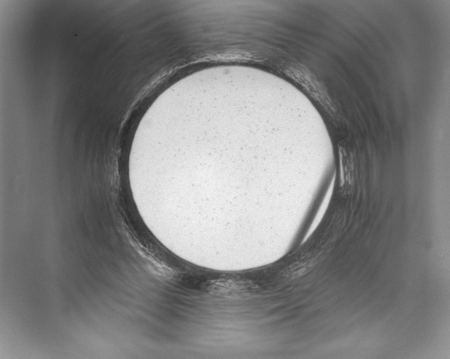 X0000072500300200608111635