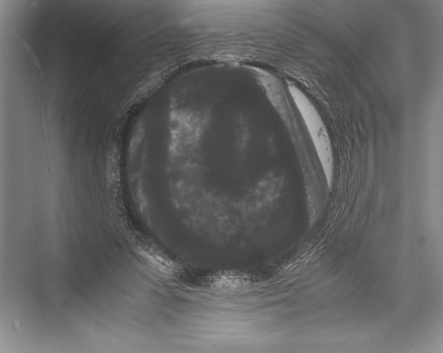 X0000072500303200608111635