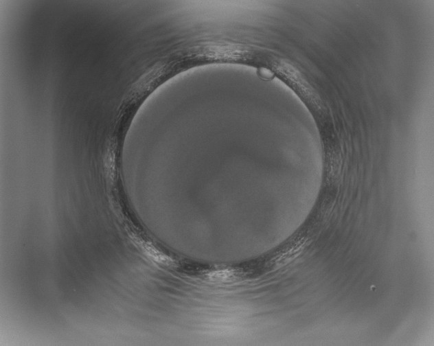 X0000072500309200608111635