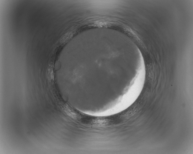 X0000072500313200608111635