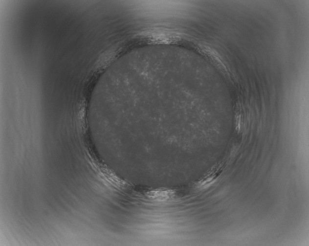 X0000072500314200608111635