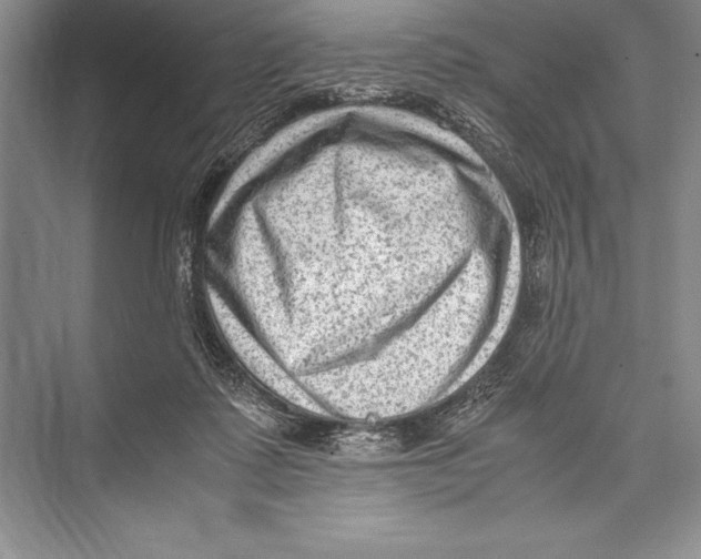 X0000072500315200608111635