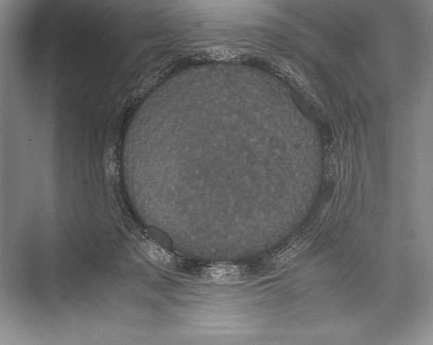 X0000072500317200608111635