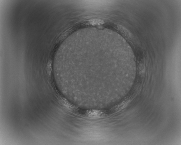 X0000072500321200608111635