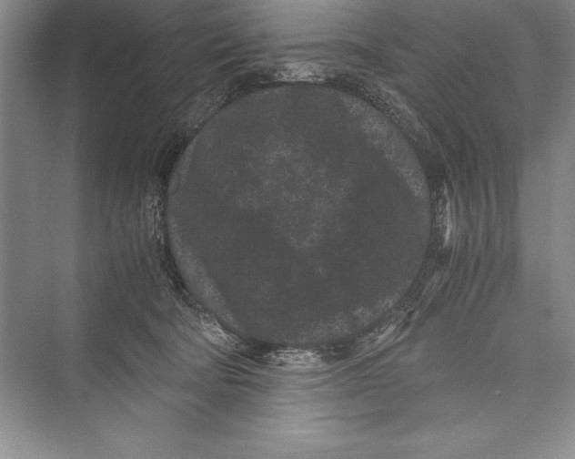 X0000072500322200608111635