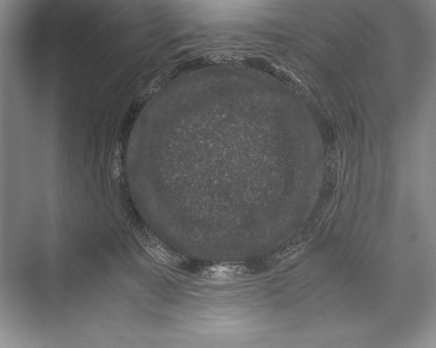 X0000072500323200608111635