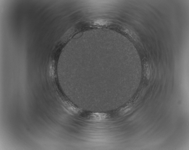 X0000072500328200608111635