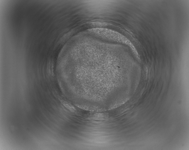 X0000072500330200608111635