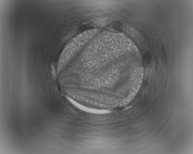 X0000072500335200608111634