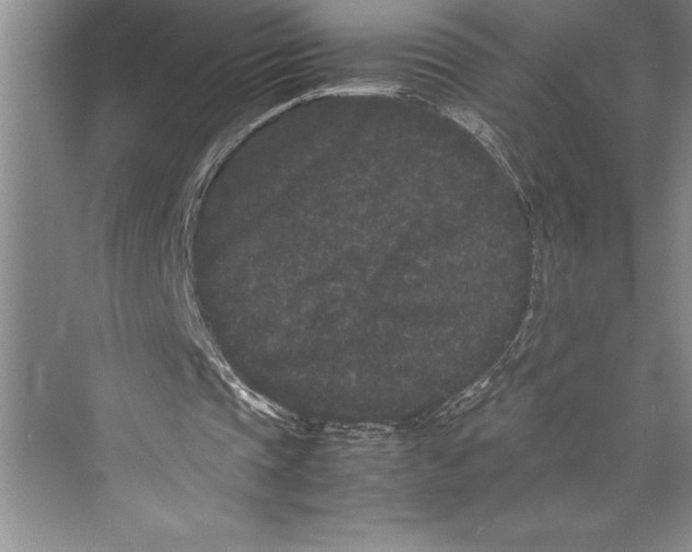 X0000072500337200608111634