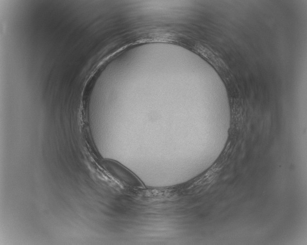 X0000072500338200608111634