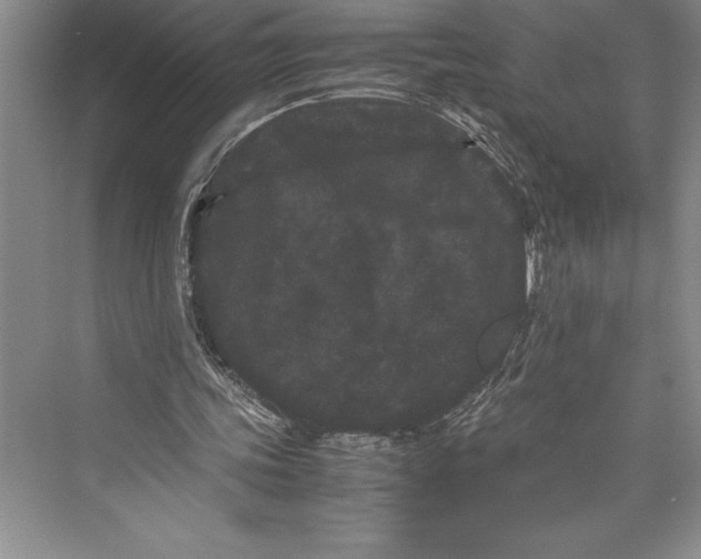 X0000072500339200608111634