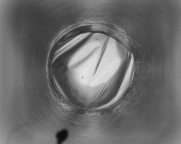 X0000072500340200608111634