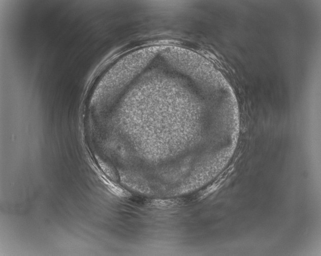 X0000072500341200608111634