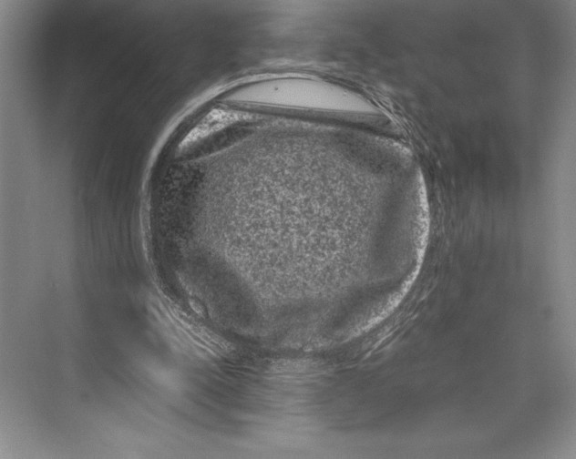 X0000072500342200608111634