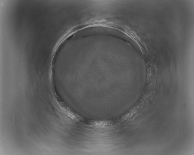 X0000072500344200608111634