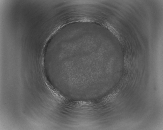 X0000072500347200608111634