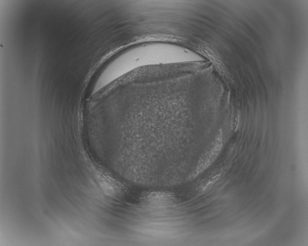 X0000072500348200608111634