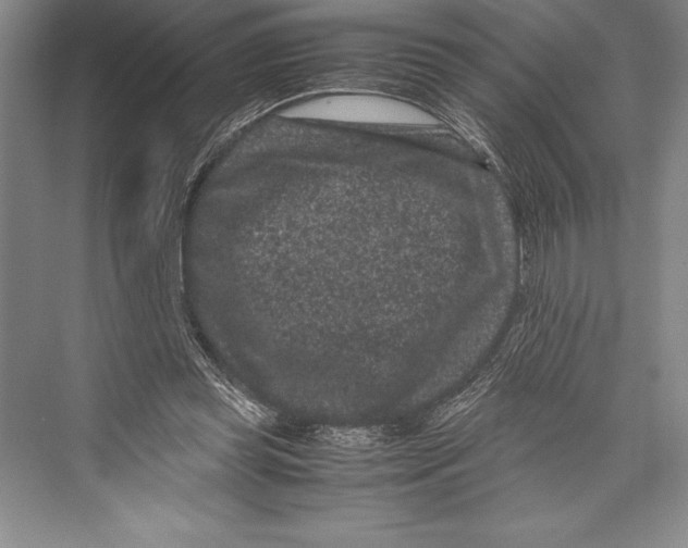 X0000072500349200608111634